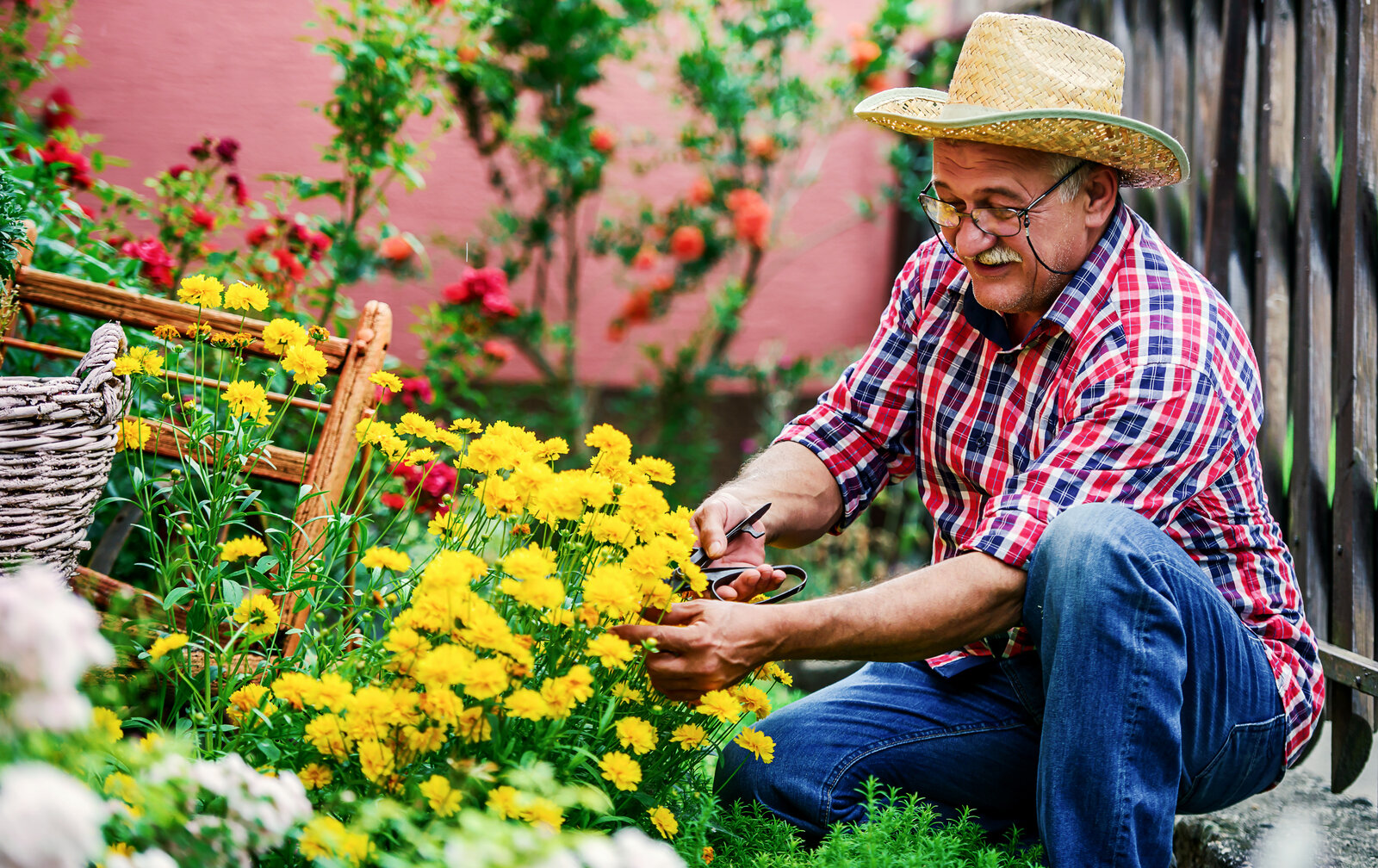 monitoring-your-health-after-prostate-cancer-halo-diagnostics